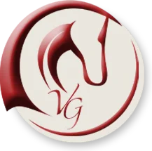 logo-ecurievincentgabriel