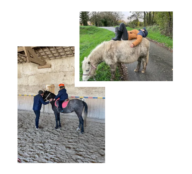 equithérapie